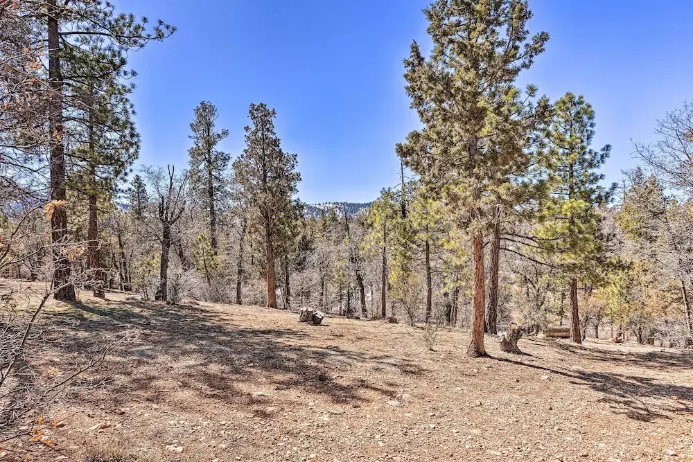 Cheerful Cabin Near Hiking & Big Bear Lake!