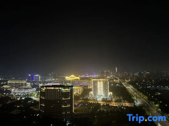 This Shi Hotel (Zhoukou Municipal Government Arts and Science College)