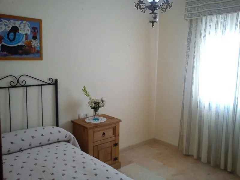 Apartment in Malaga 100580