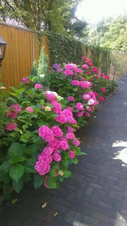 Hotel Refrather Hof