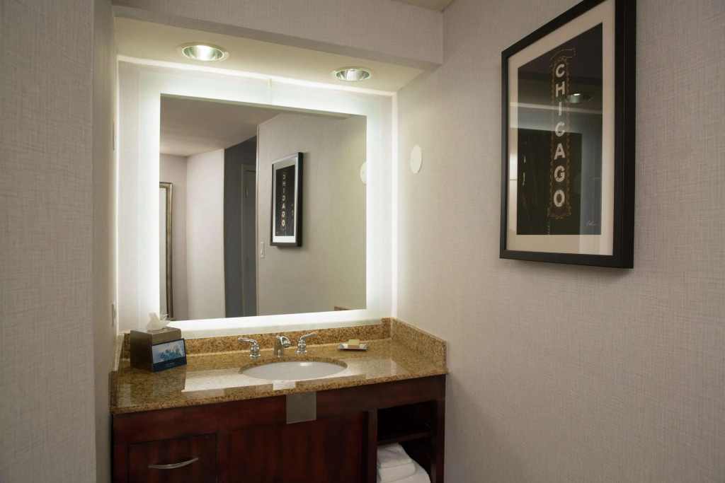Hilton Chicago/Oak Lawn