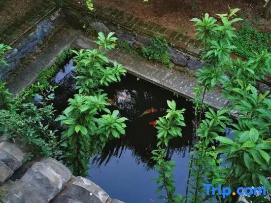 Yunwai Guesthouse