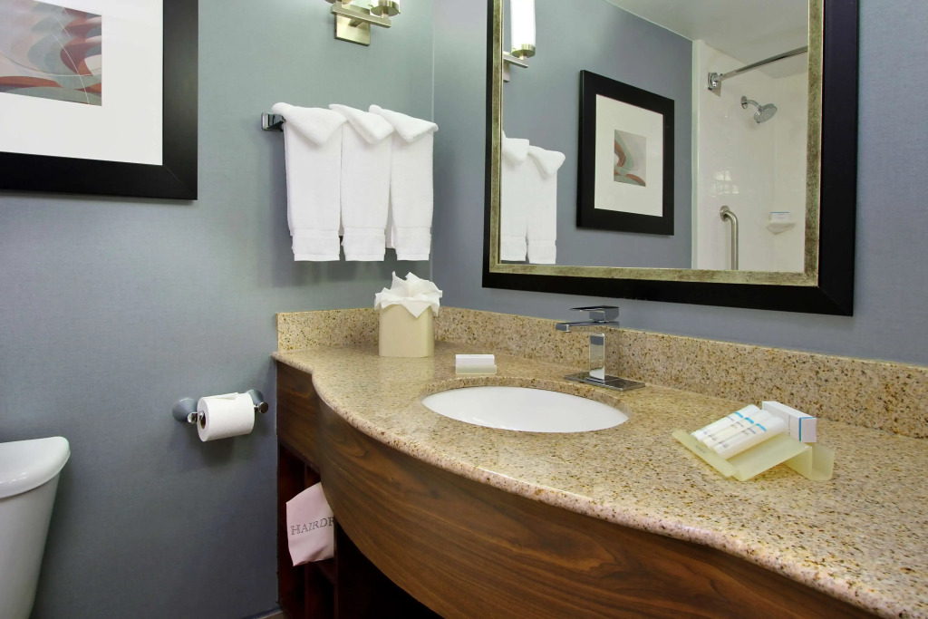 Hilton Garden Inn Austin NorthWest/Arboretum