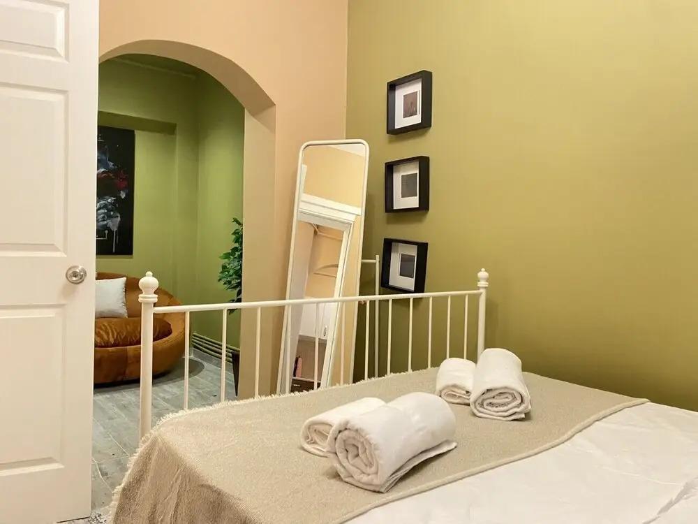 Lovely Home With Backyard in Cihangir