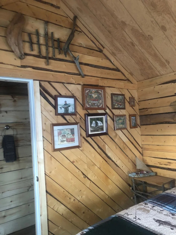 Wrangell Mountain Lodge
