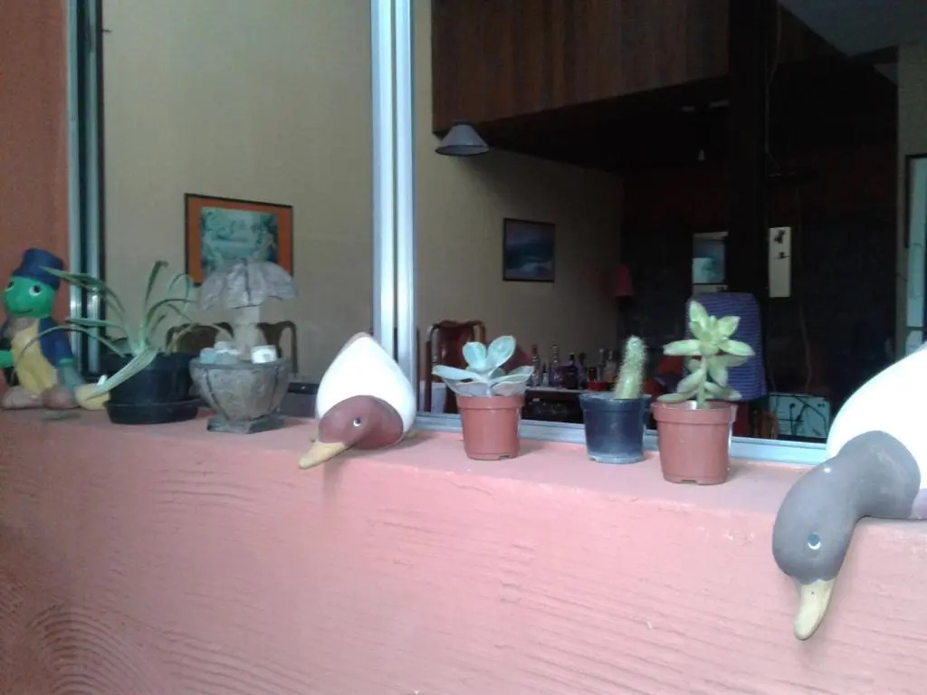 Pousada da Didi