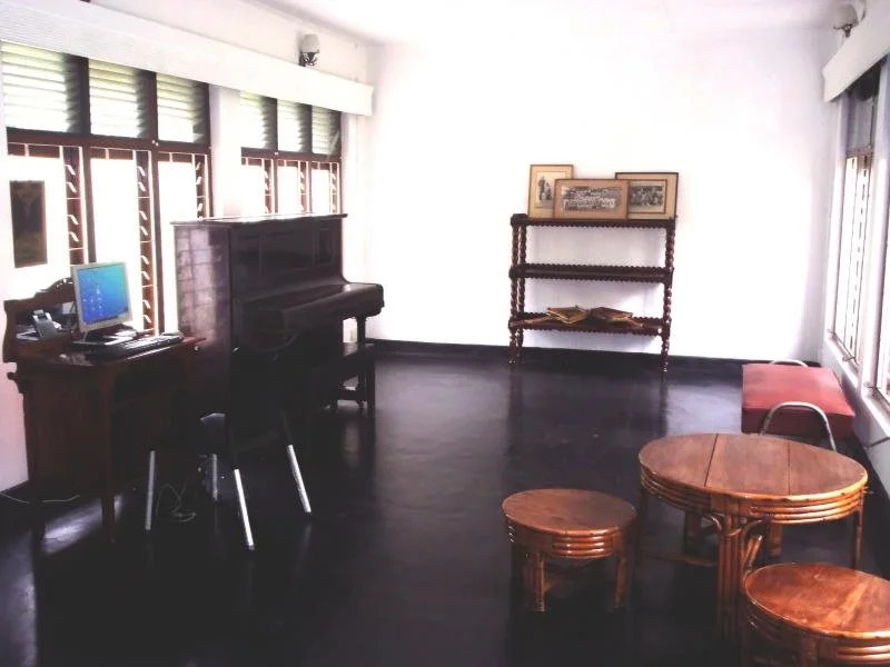 Kandy City Monkey