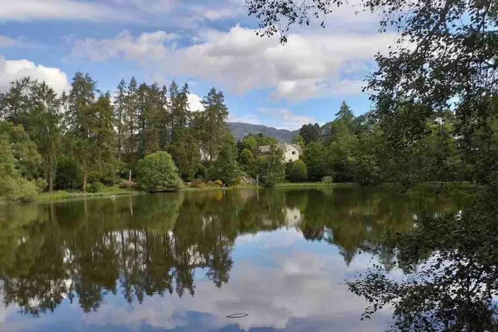 The Beeches Studio, Highlands of Scotland