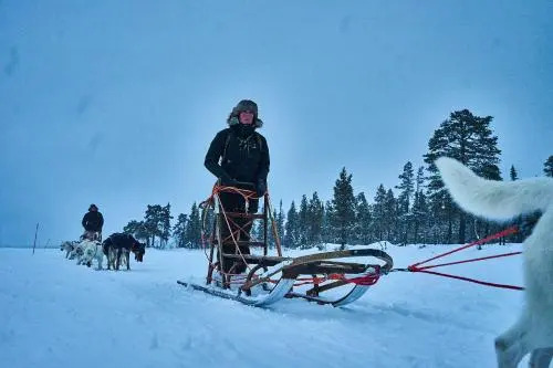 Lapland Guesthouse