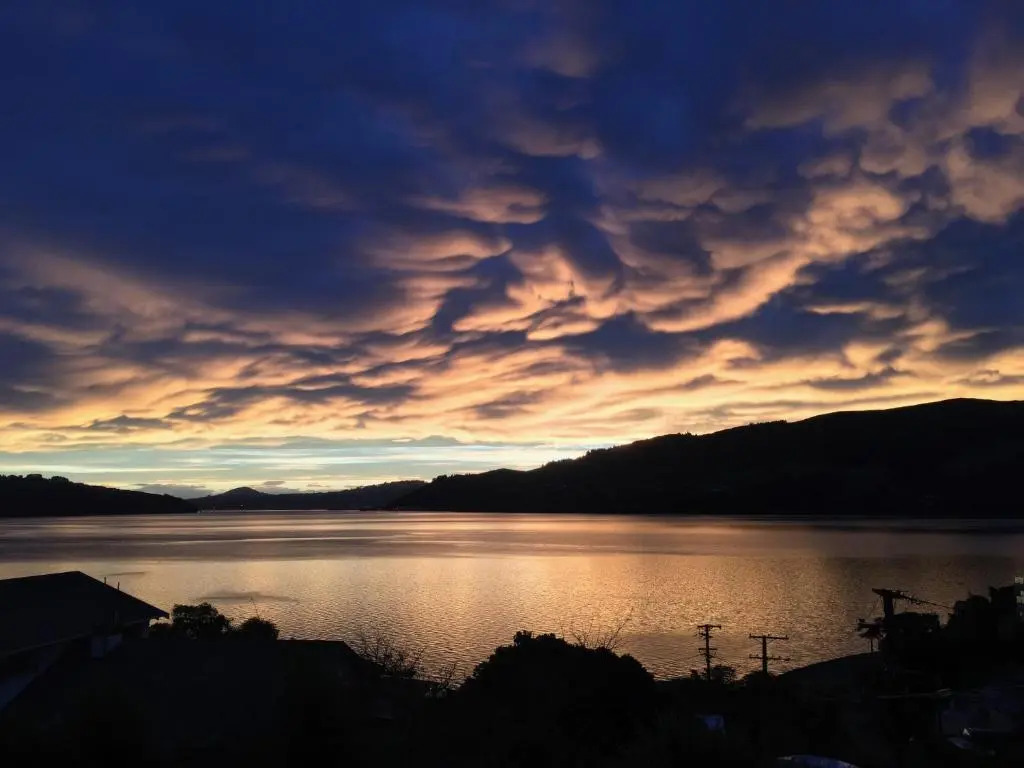 Otago Peninsula Paradise