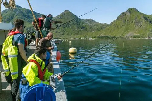 Live Lofoten Fishermens Cabins