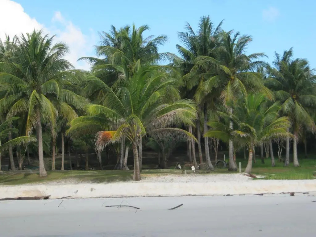 Coconutbeach Bungalows