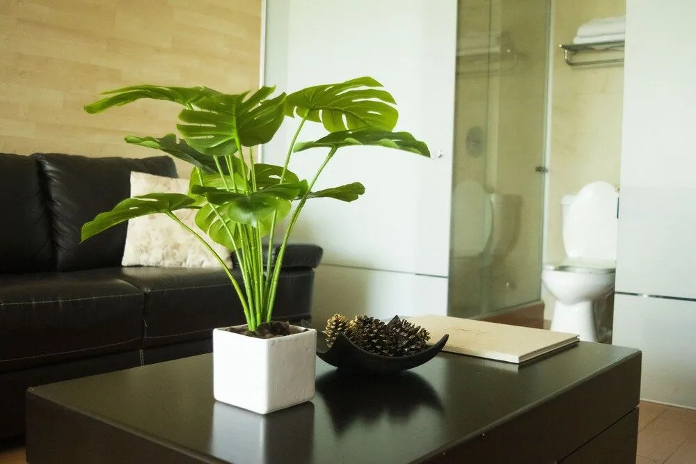 Giakor Suites - Gran Jardín