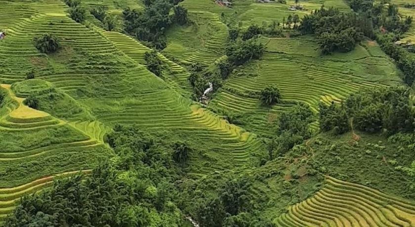 Thuan Ha Hotel Sapa