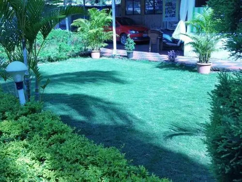 Avelina Guest House