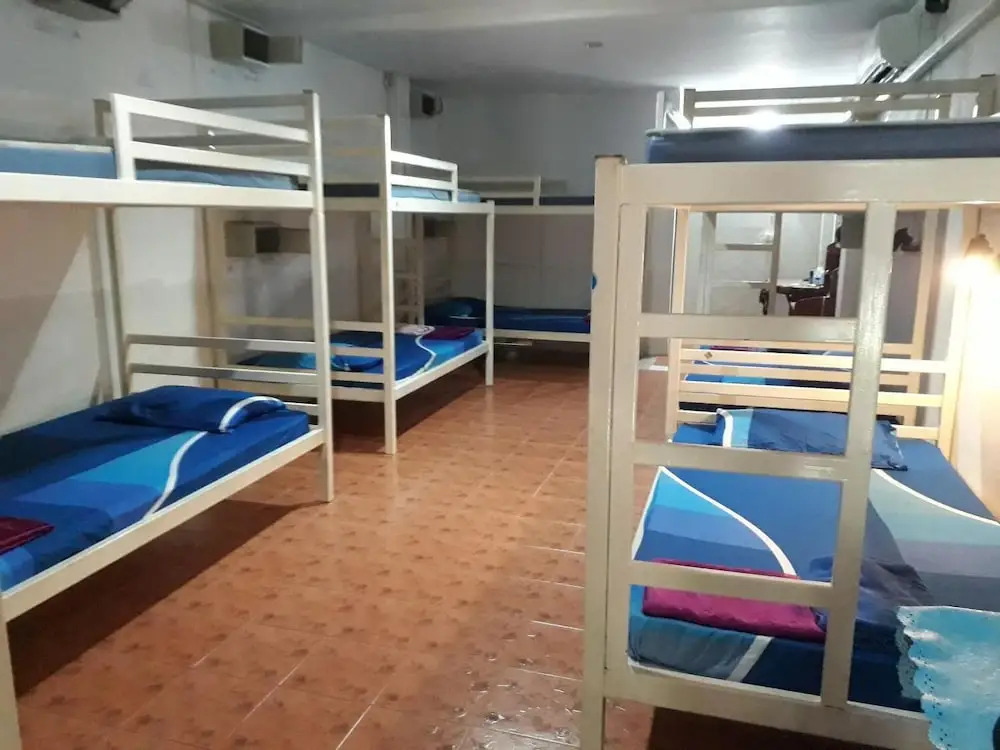 Hangover Hostel