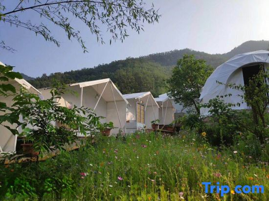 Song Wild Luxury Tent Homestay