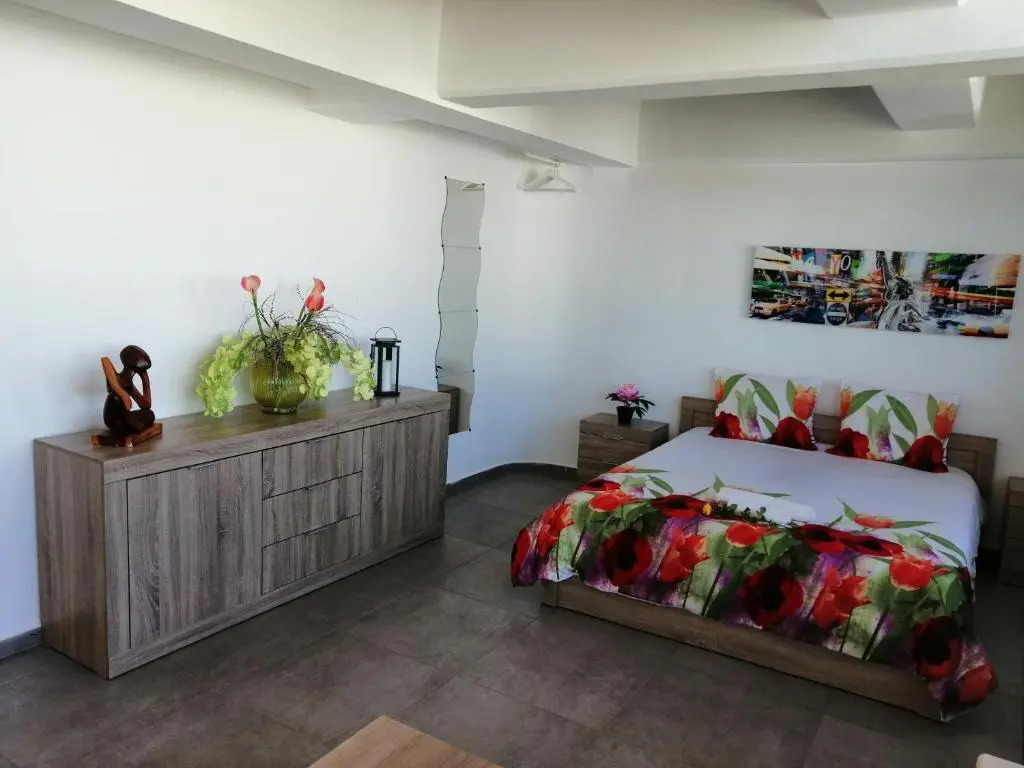 Spacious & Modern Studio Apartment Near the Airport