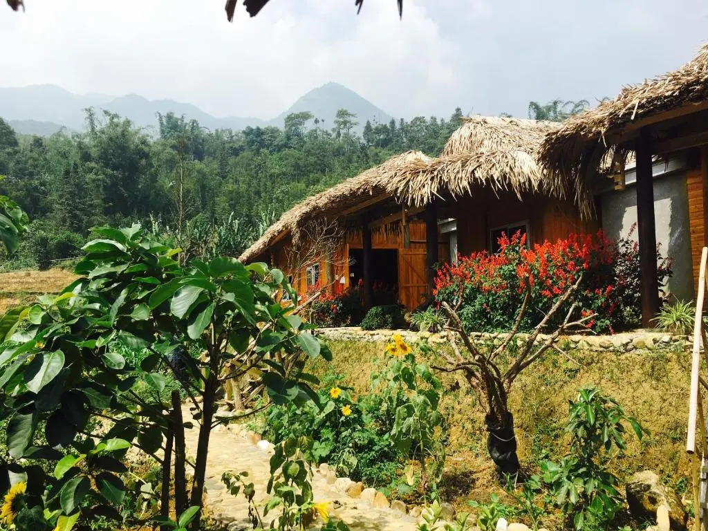 Dó homestay
