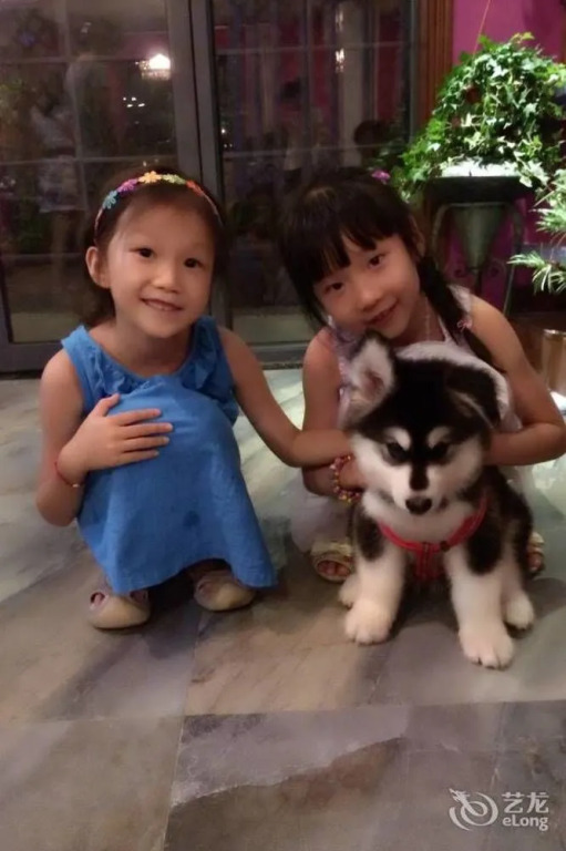 Ruozhi Youlan Putike Hotel - Hangzhou
