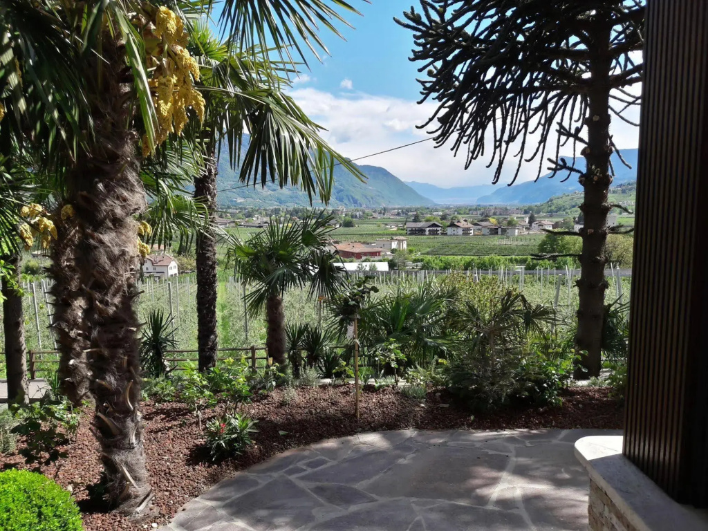 Ruster Resort