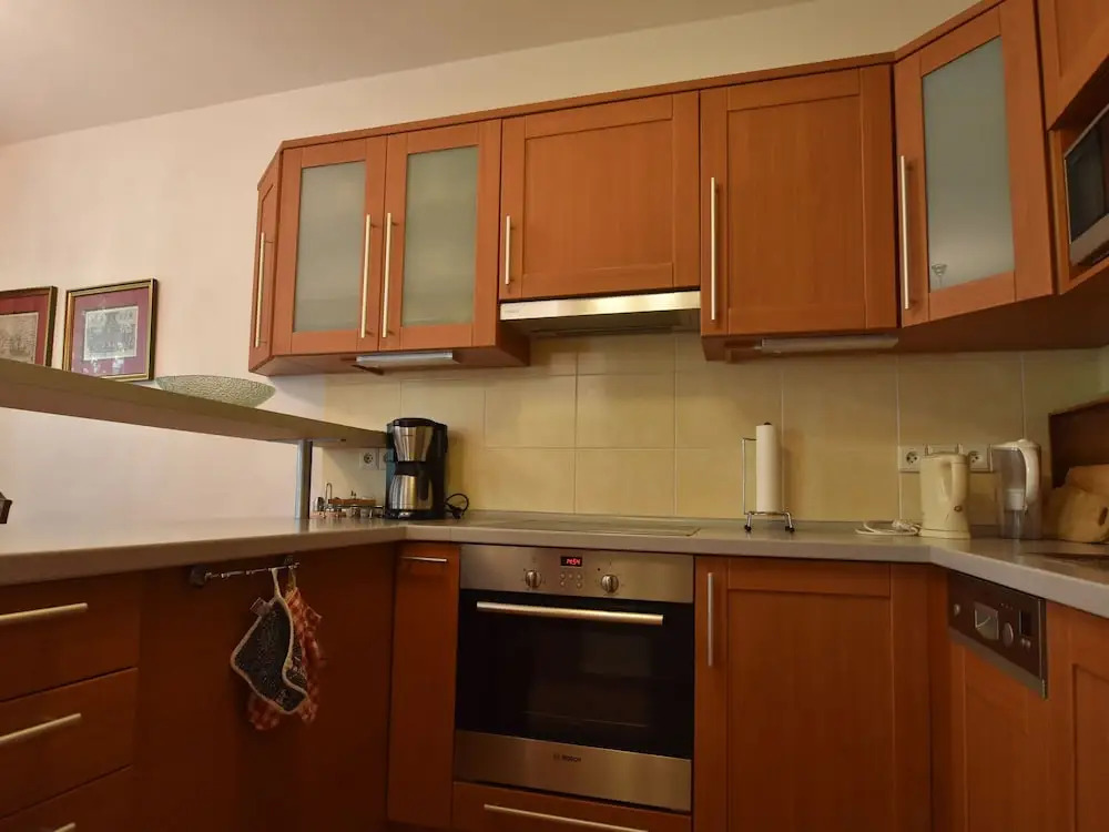 Modern Apartment in Podebrady Near River