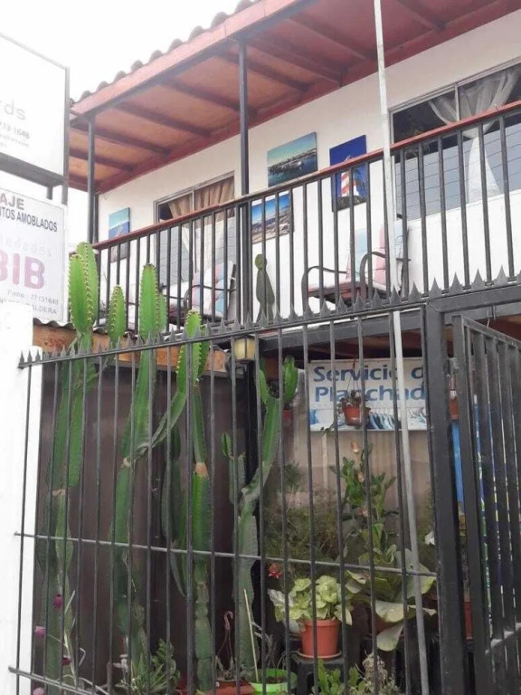 Hostel Cactus