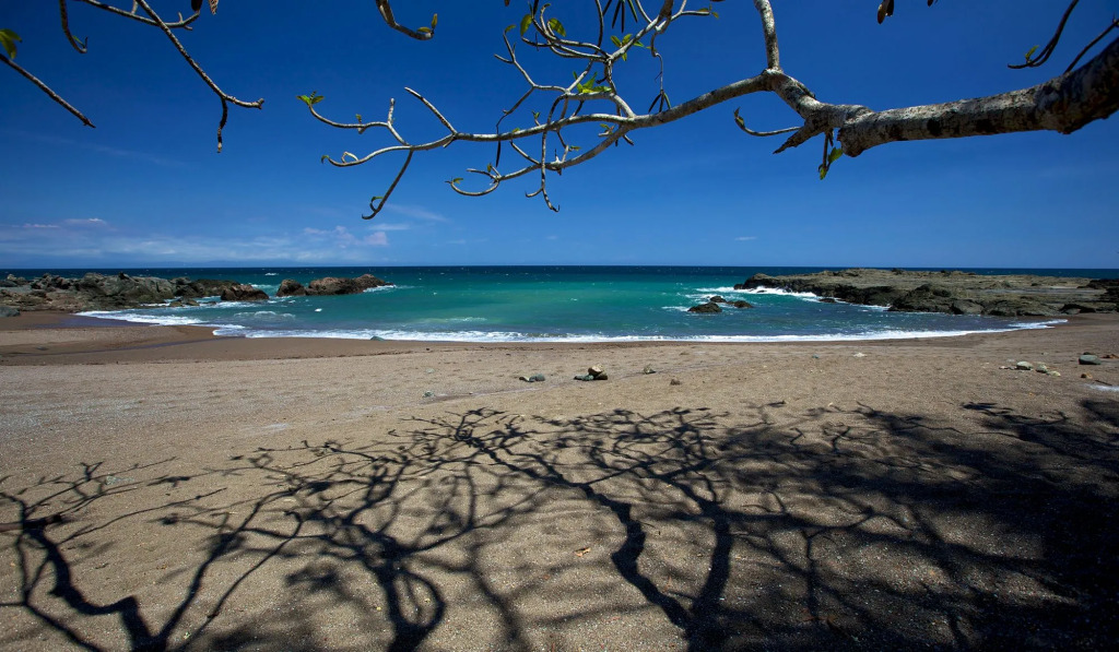Ylang Ylang Beach Resort