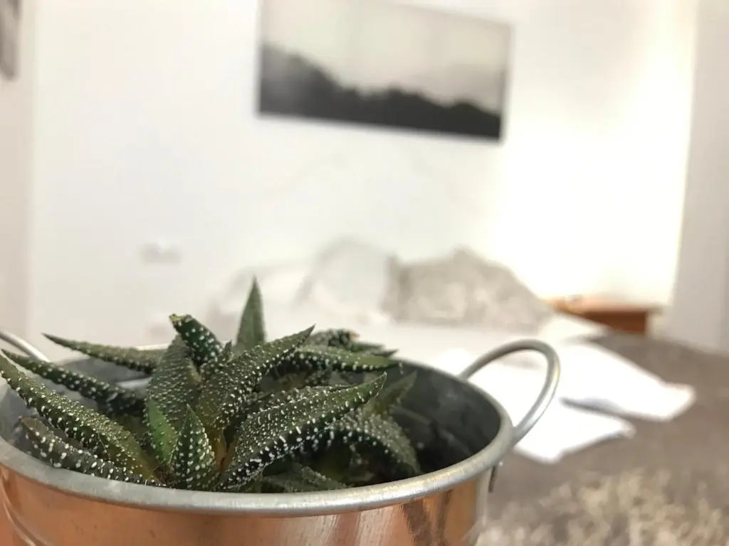 Apartamentos Arha
