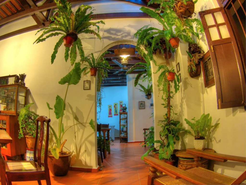 Cyclamen Cottage