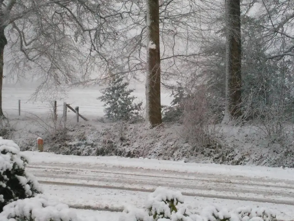 Anna's B&B Rijssen