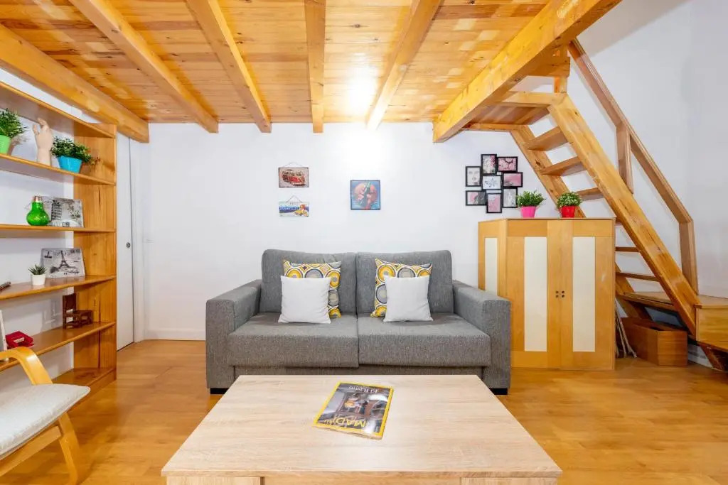 Duplex Lavapies 1BD