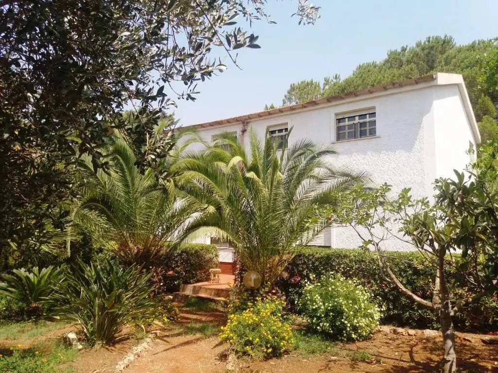 Villa Dracena