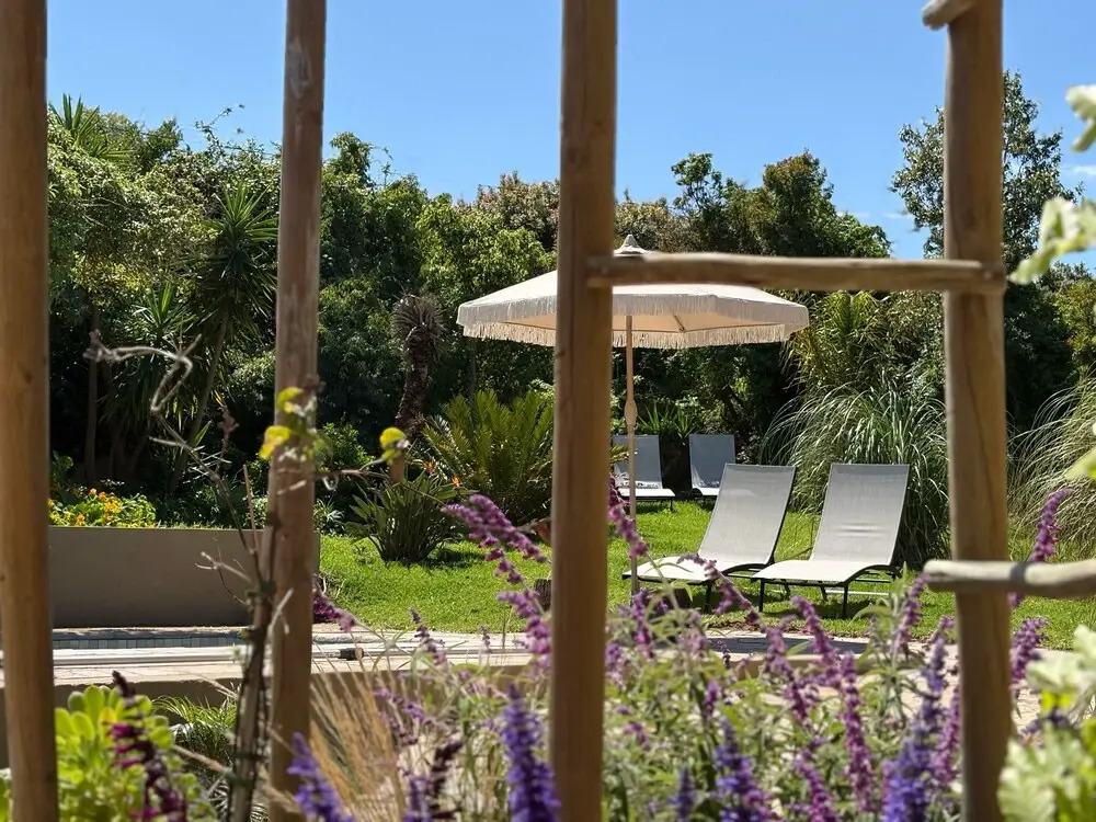 Kokon Boutique Guesthouse