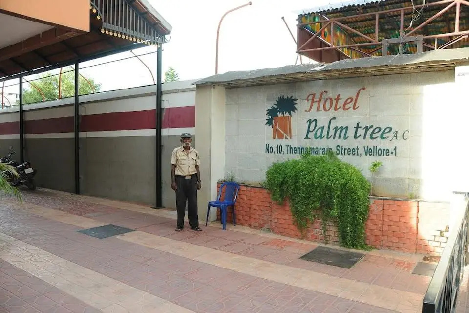 Hotel Palm Tree