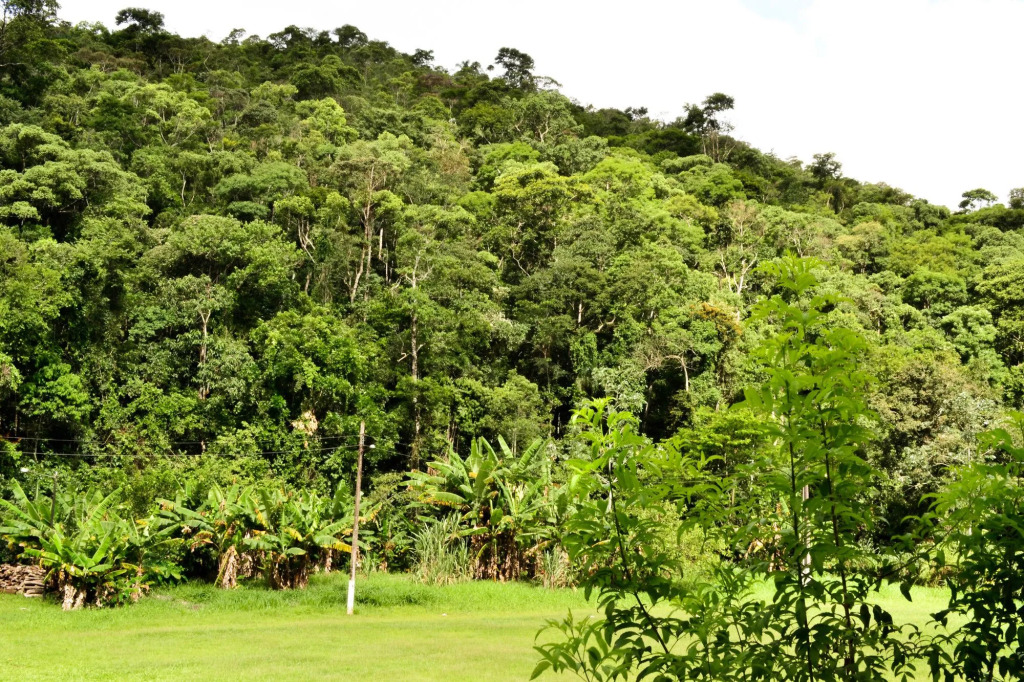 Hotel Vale Verde Penedo