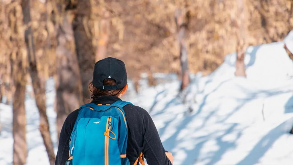 El Refugio Ski & Summer Lodge 1484