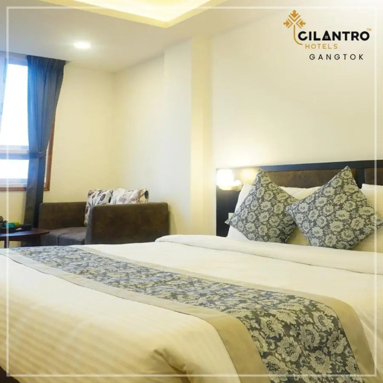 Cilantro Comfort