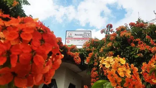 Olivia Residence and Hostel