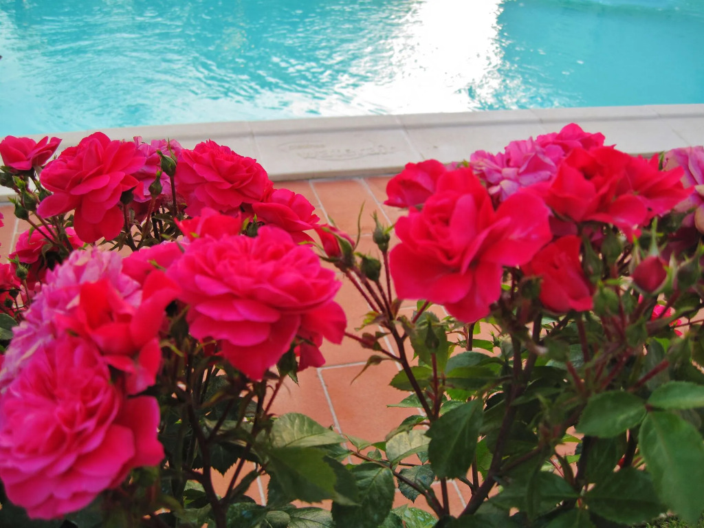 LHP Certaldo Resort