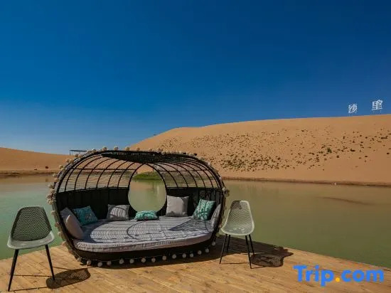 Zhongwei Shariwa Desert B&B