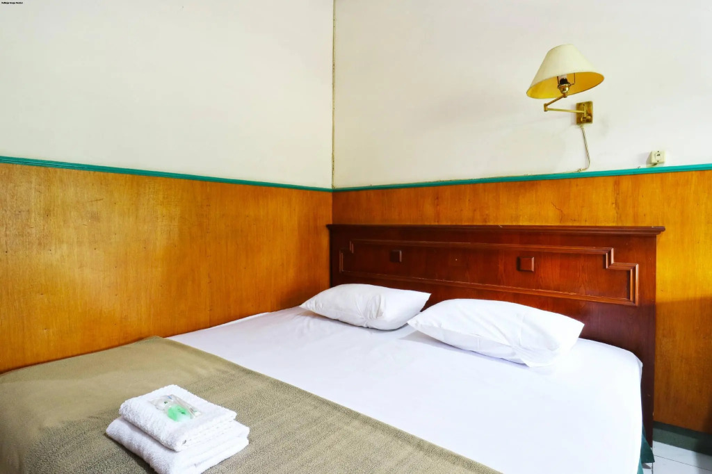 Hotel Shabine