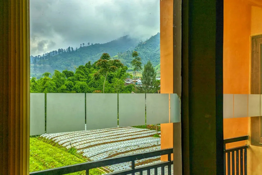 RedDoorz near Agrowisata Kebun Teh Dieng