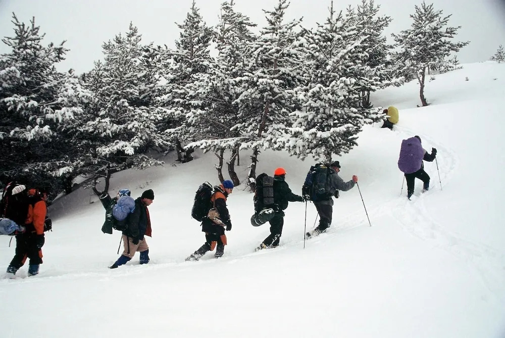 Trabzon Holiday Suites