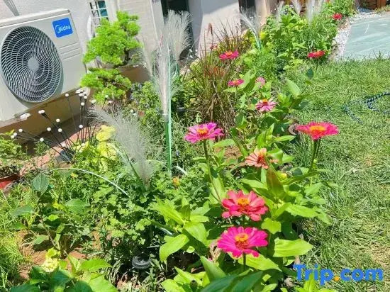 Shanhaijing Homestay (Jinhai Lake Scenic Area)