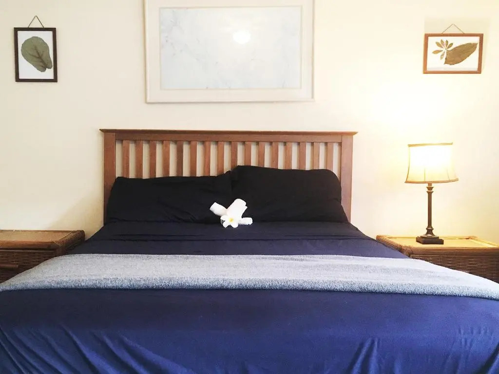 Plumeria Hostel Alternative