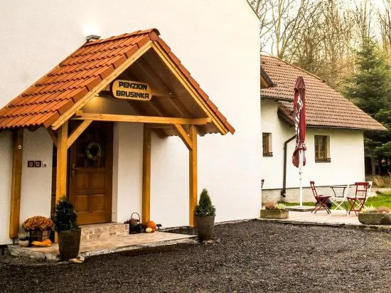 Penzion Brusinka