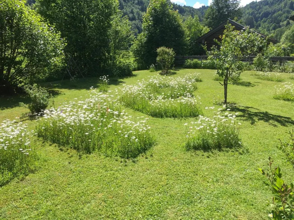 Am Schlierbach