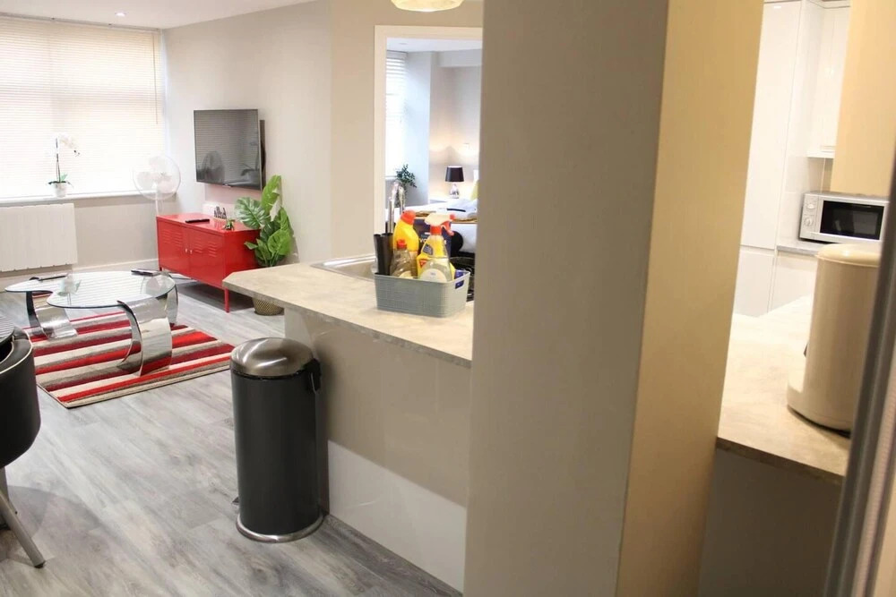 1braptmt W/king BED 4guests Embankmnt Parkg Wifi
