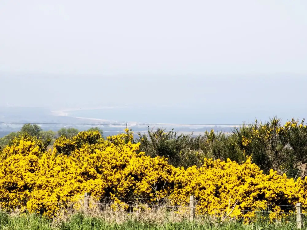 Woodside Cottage, Buckie